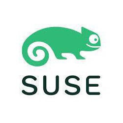 SLES 1-2 Sckt/1-2 VM 5yr 24x7 E-LTU